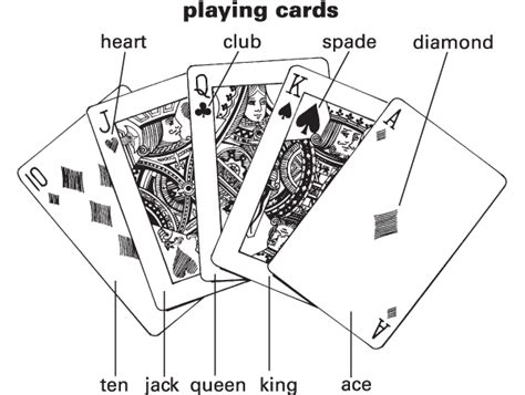 The 7 Parts of a Playing Card (Explained) .